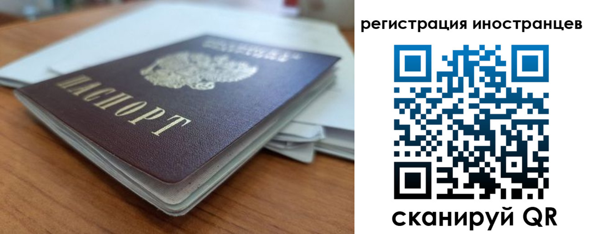 прописка регистрация в Камышине